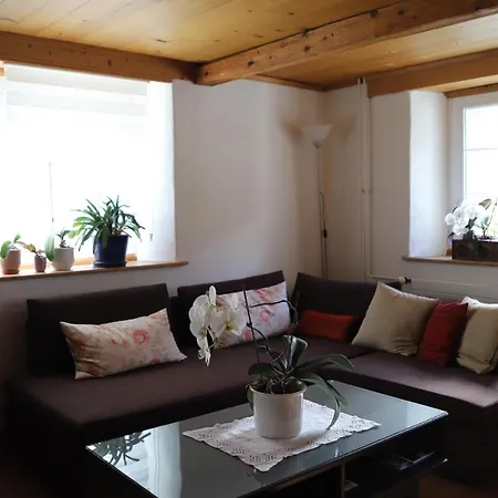 Apartment Momentine